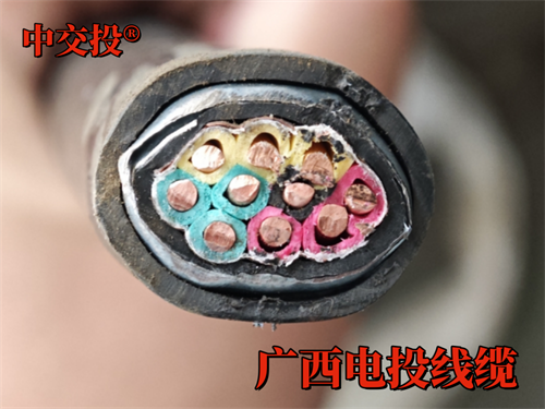 www.gxdt.cn